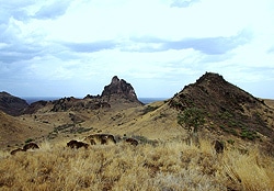 Exploring the East African Rift System