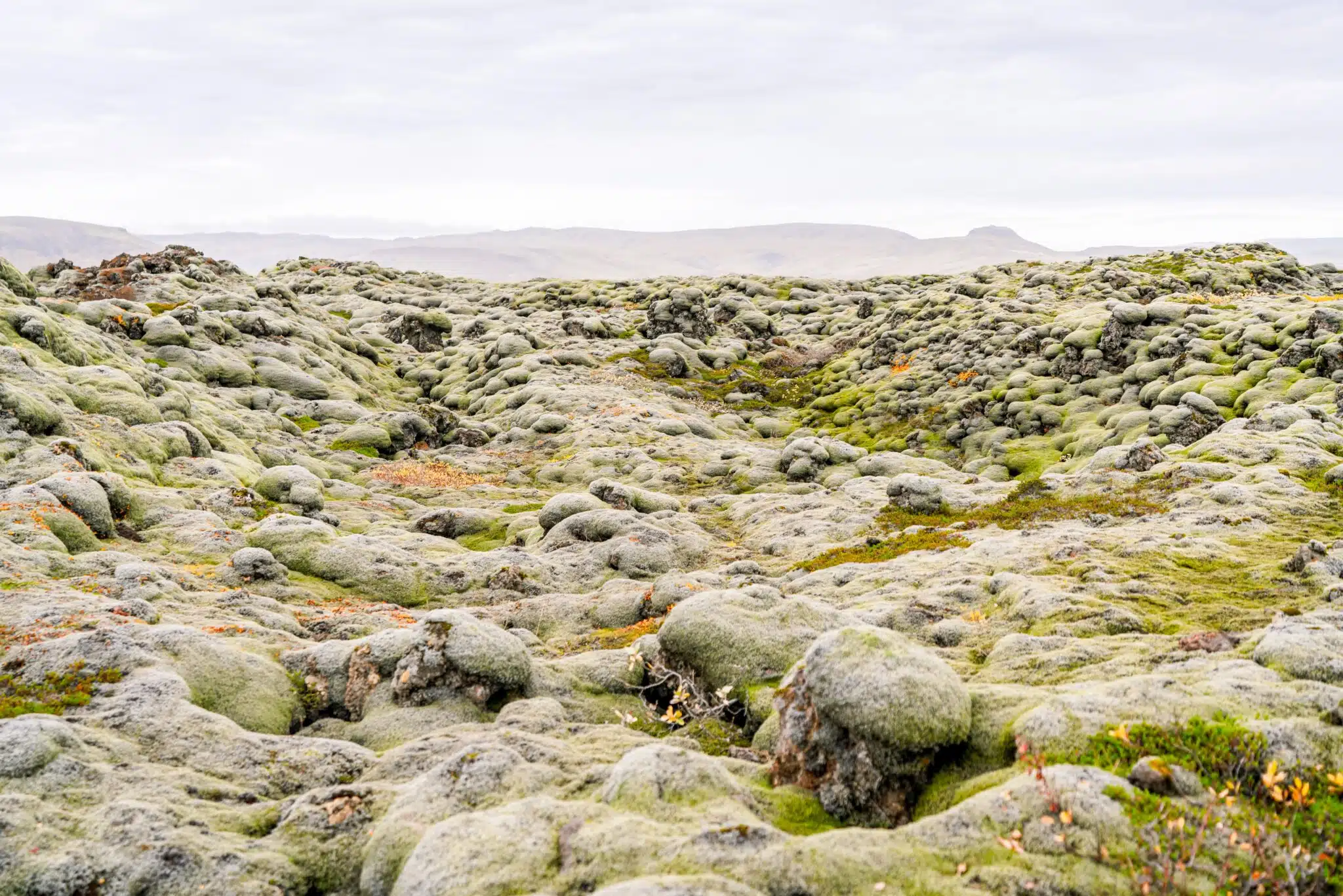 How the 3D model of an Icelandic geothermal field picked its way through a mass of data to find the best energy hotspots